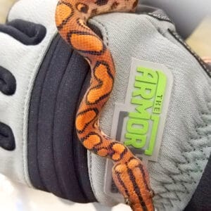 Product Armor Hand Glove Snake