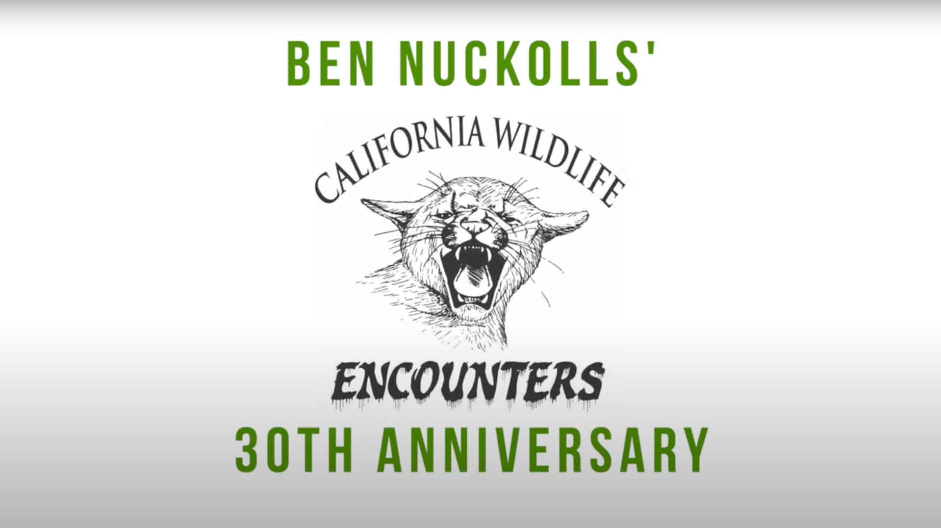 Cwe 20th Video Cover