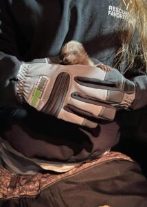 armor hand baby raccoon rescue 02