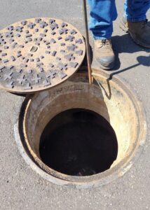 armor hand newborn ducklings rescue 03