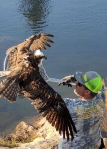 armor hand osprey rescue 01