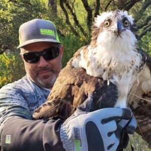 armor hand osprey rescue feature