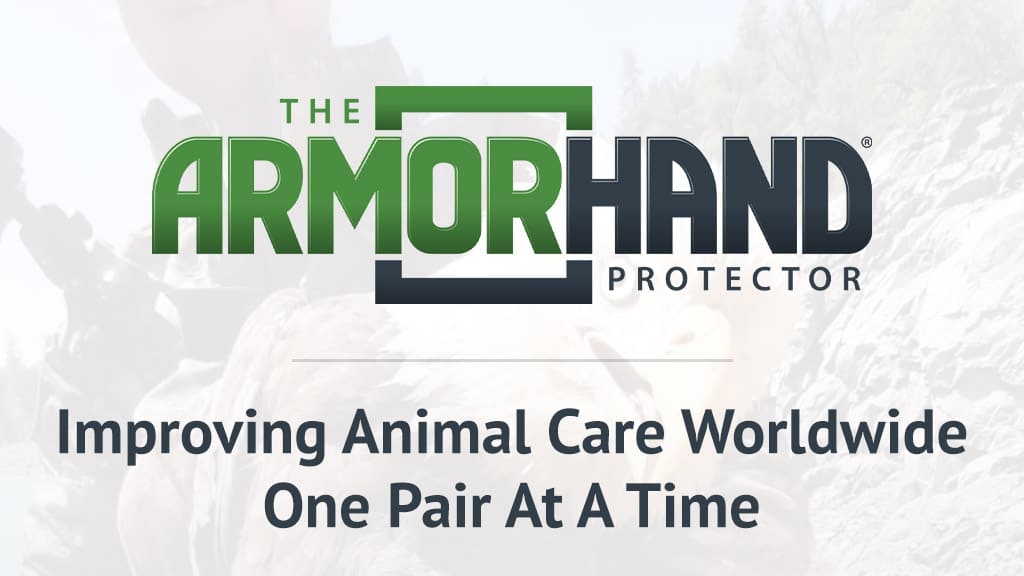 armor hand gloves one pair at a time cover