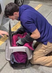 armor hand opposum rescue hbc 02