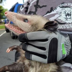 armor hand opposum rescue hbc feature