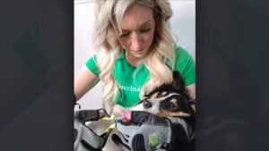 dr laura and dog beans with gloves new