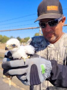 ca heat wave rescue 05