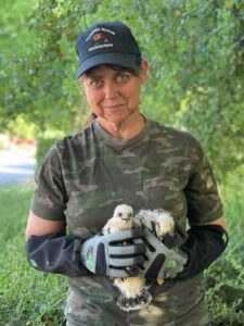 ca heat wave rescue 06