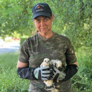 ca heat wave rescue feature