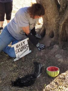 skunk family rescue 01