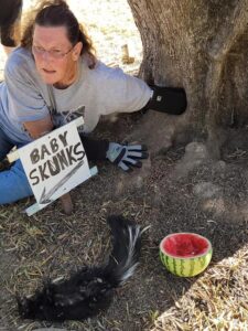 skunk family rescue 02