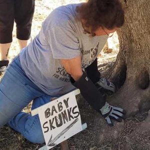 skunk family rescue feature