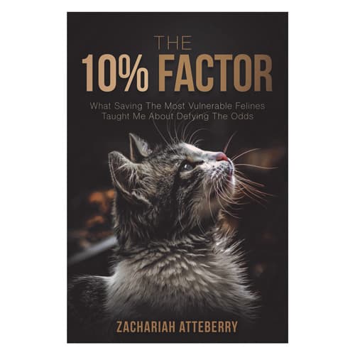 the 10 percent factor book cover