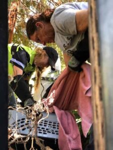 armor hand raccoon rescue 04