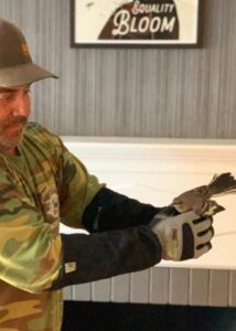 mockingbird rescue 02