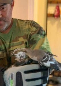 mockingbird rescue 03