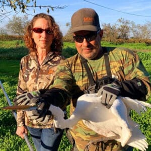 great egret rescue feature