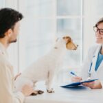 Vet checks pet in hospital, modern office, communicates with male host
