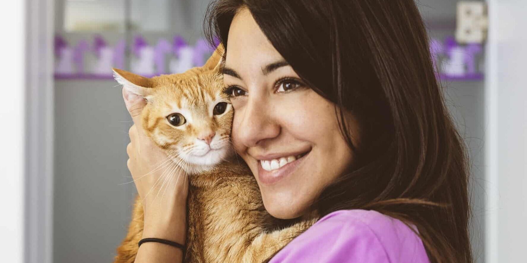 Veterinarian doctor hugging a little cat.